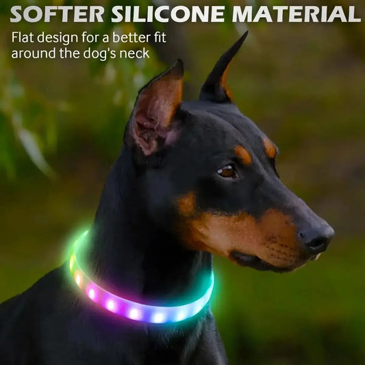 Collar LED Brillante para Perros Recargable USB | 9 Modos de Destello Silicona Ajustable