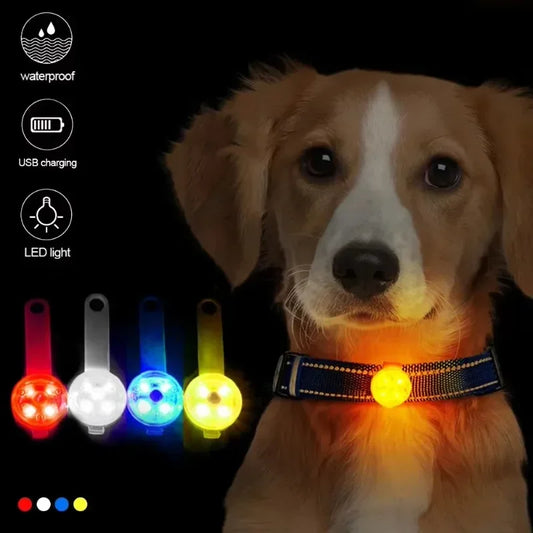 Colgante LED Luminoso para Mascotas | Luz de Seguridad Recargable USB Resistente al Agua