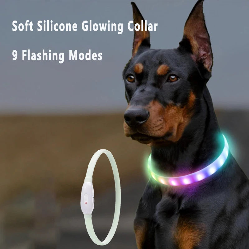 Collar LED Brillante para Perros Recargable USB | 9 Modos de Destello Silicona Ajustable