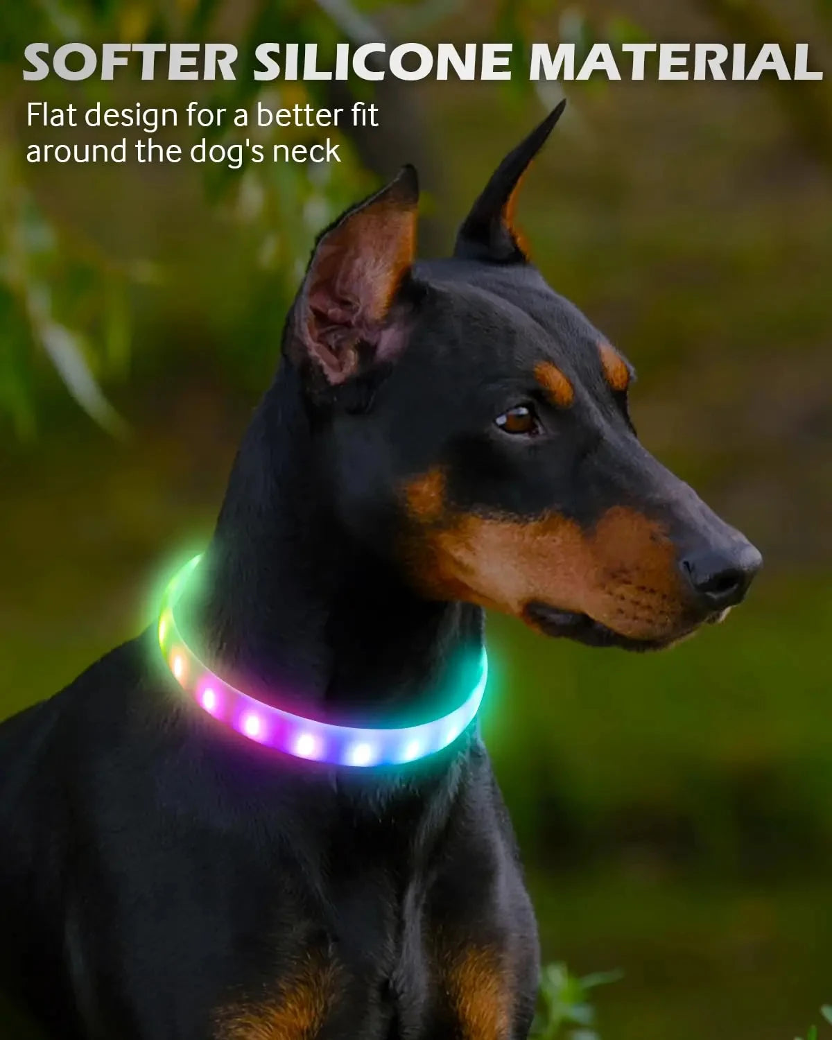 Collar LED Brillante para Perros Recargable USB | 9 Modos de Destello Silicona Ajustable