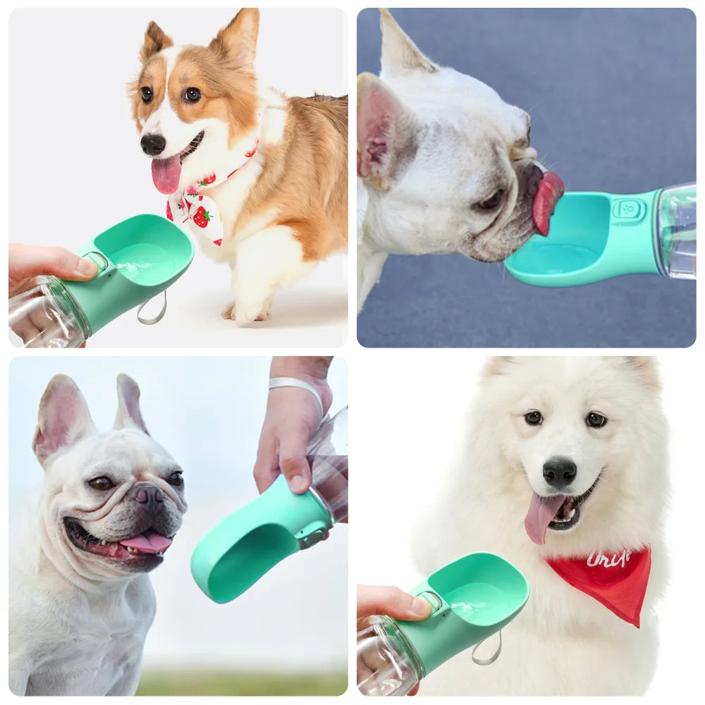 Evita que tu perro pase sed en verano, sirve para perros y gatos.