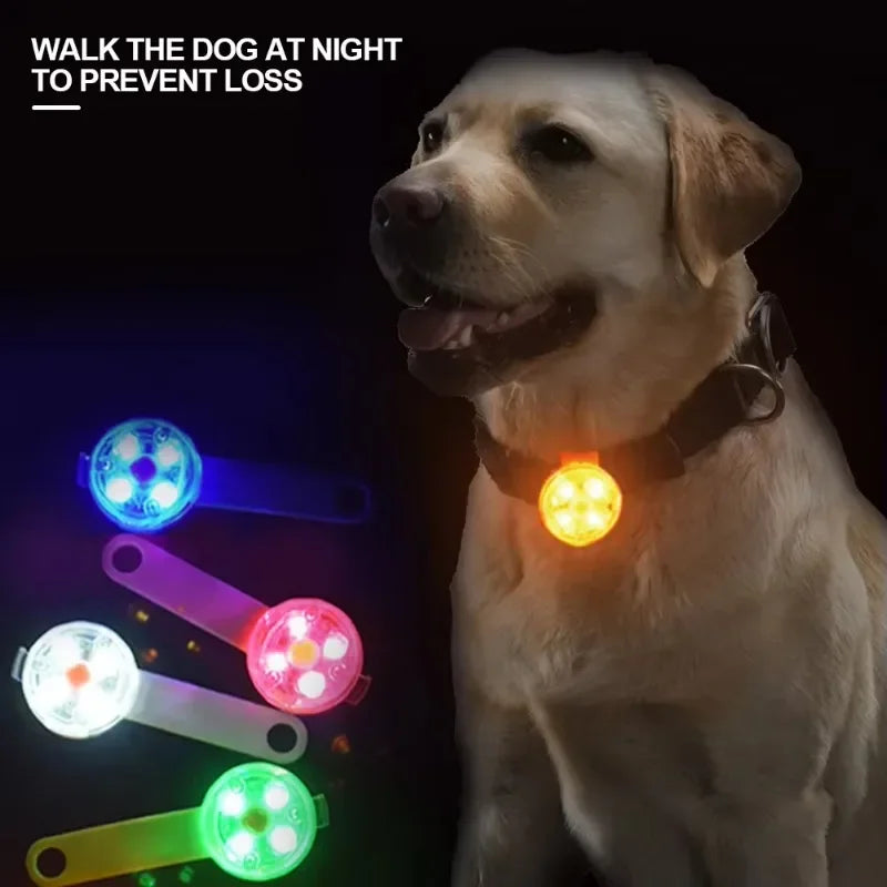 Colgante LED Luminoso para Mascotas | Luz de Seguridad Recargable USB Resistente al Agua