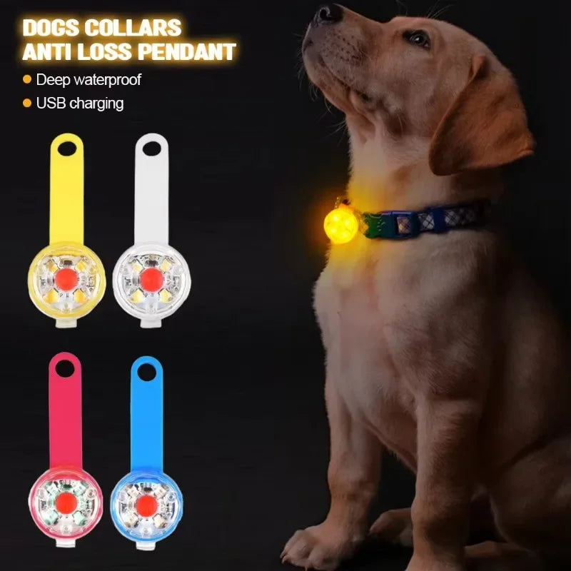 Colgante LED Luminoso para Mascotas | Luz de Seguridad Recargable USB Resistente al Agua