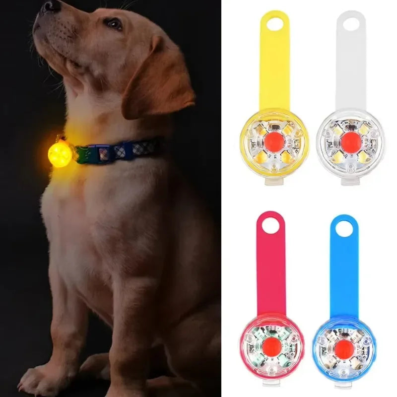 Colgante LED Luminoso para Mascotas | Luz de Seguridad Recargable USB Resistente al Agua