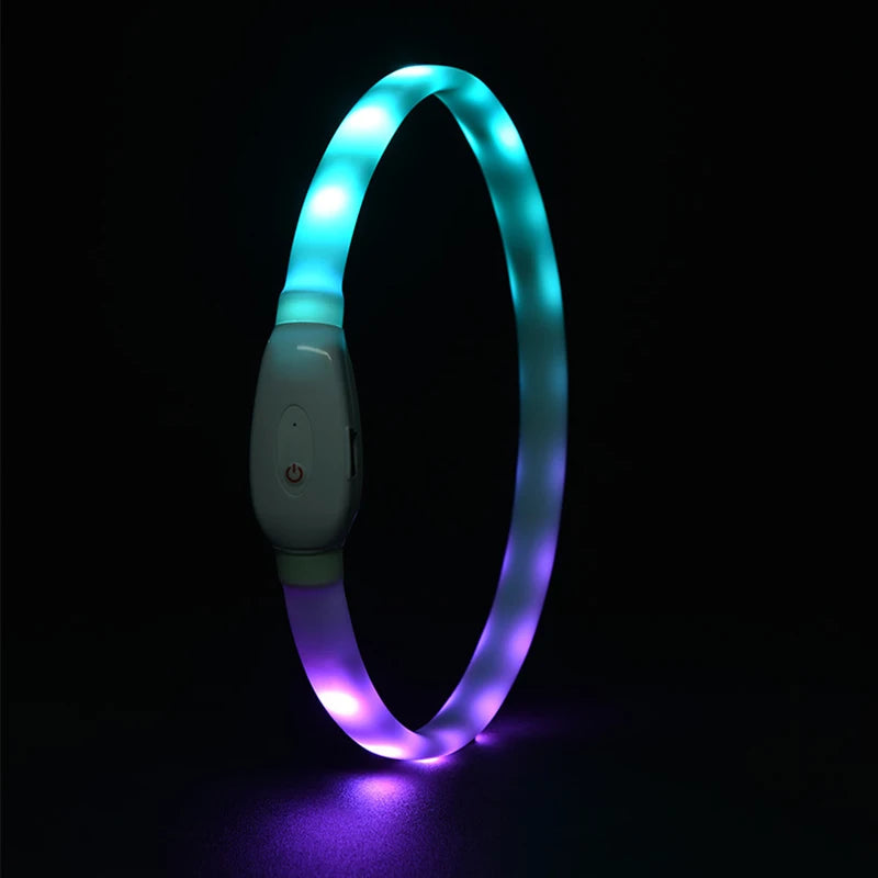 Collar LED Brillante para Perros Recargable USB | 9 Modos de Destello Silicona Ajustable