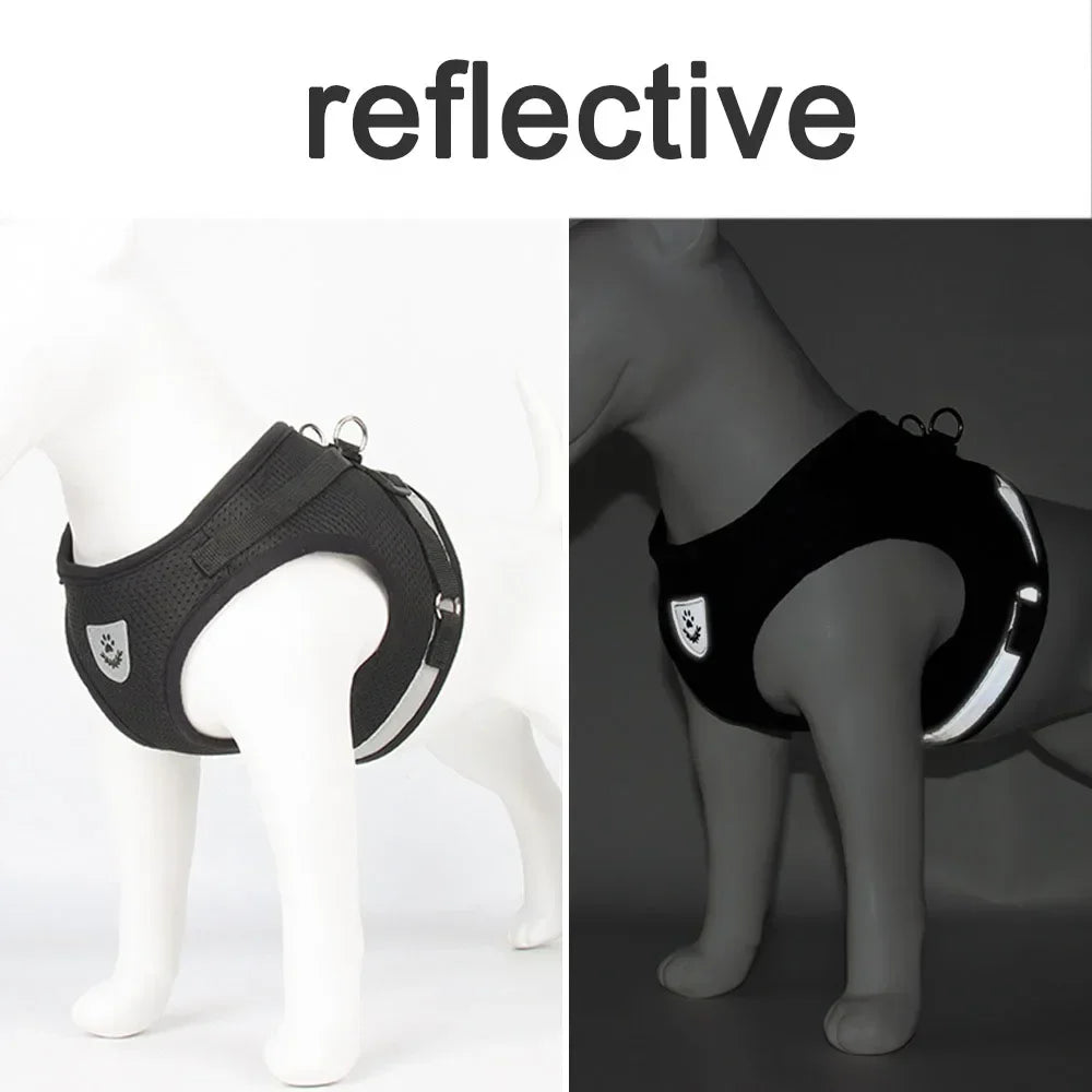 Arnés y Correa para Gatos y Perros Pequeños | Chaleco Reflectante Ajustable Antipescadera