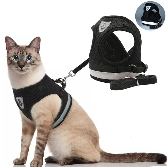 Arnés y Correa para Gatos y Perros Pequeños | Chaleco Reflectante Ajustable Antipescadera