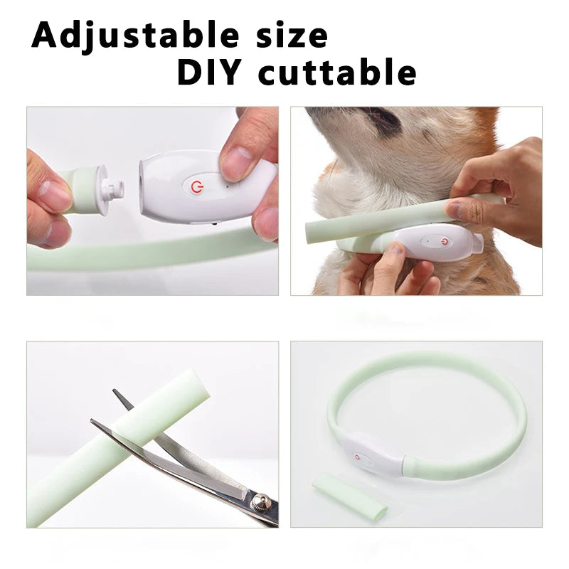 Collar LED Brillante para Perros Recargable USB | 9 Modos de Destello Silicona Ajustable