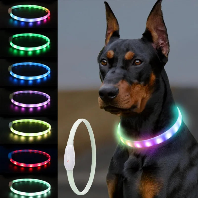 Collar LED Brillante para Perros Recargable USB | 9 Modos de Destello Silicona Ajustable