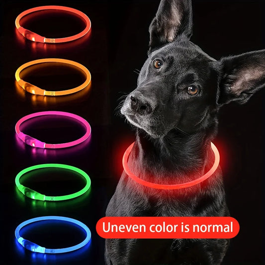 Collar LED Luminoso para Perros Recargable USB | Anti-Pérdida Nocturno