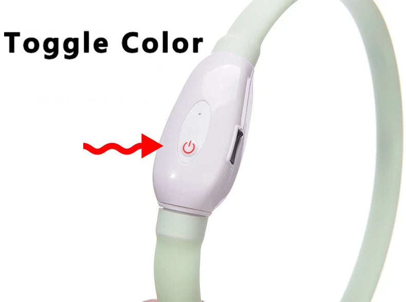 Collar LED Brillante para Perros Recargable USB | 9 Modos de Destello Silicona Ajustable