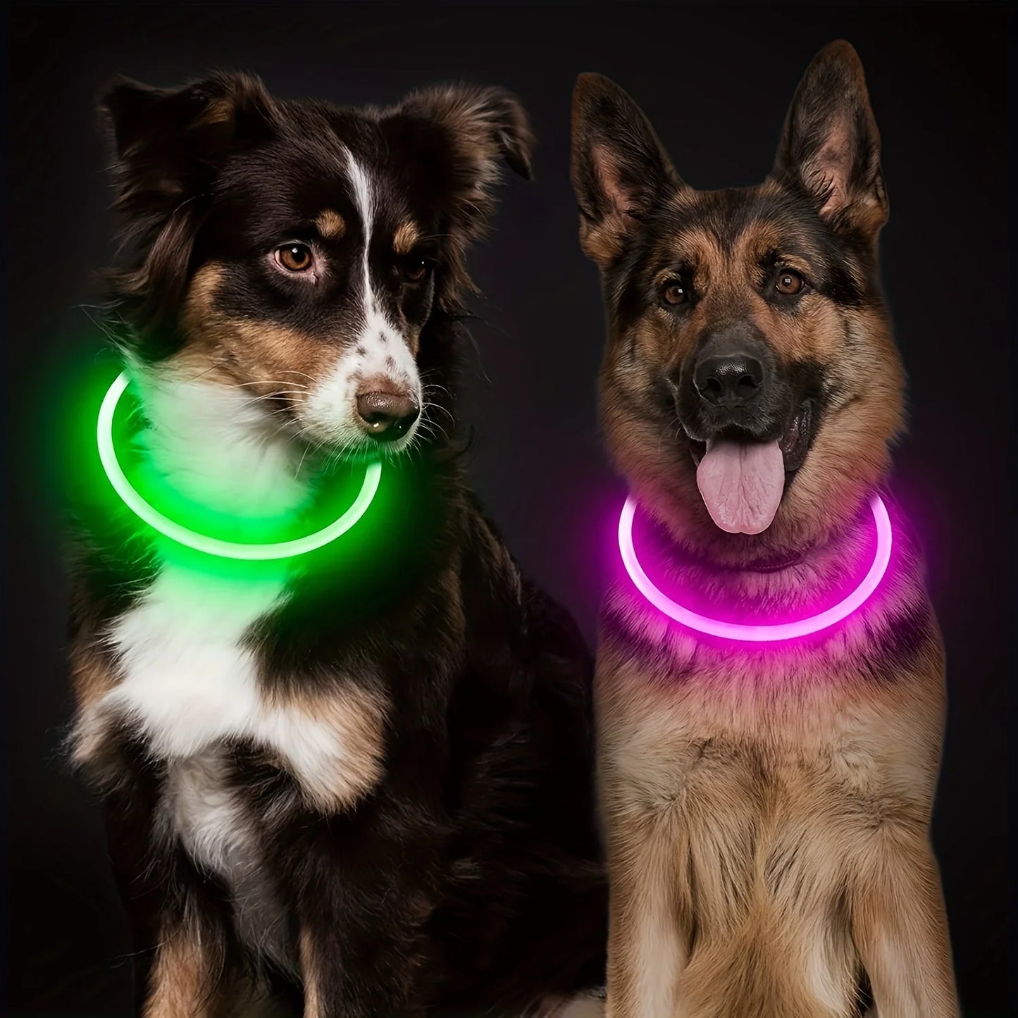 Collar LED Luminoso para Perros Recargable USB | Anti-Pérdida Nocturno