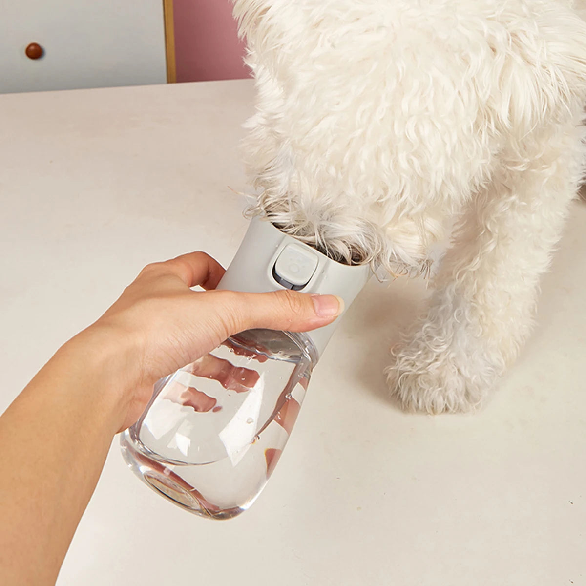 Evita que tu perro pase sed en verano, sirve para perros y gatos.