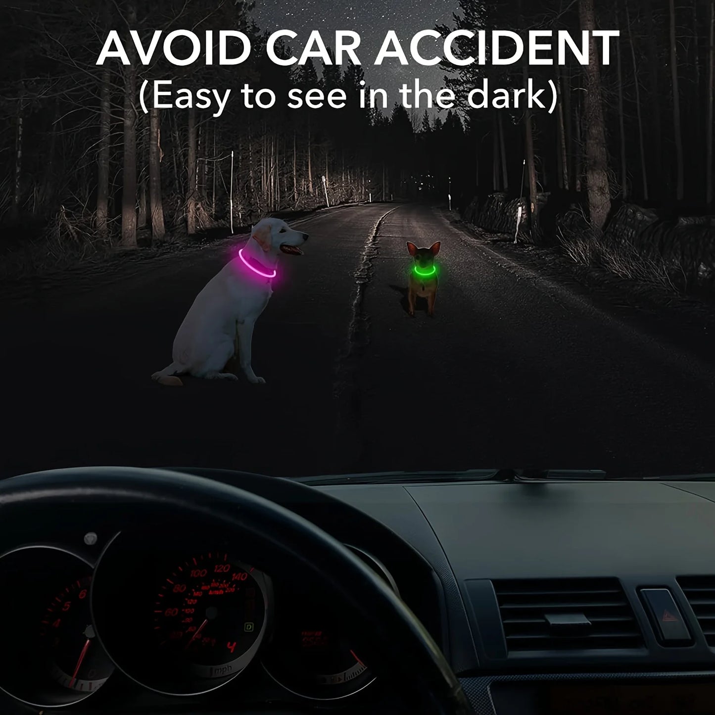 Collar LED Luminoso para Perros Recargable USB | Anti-Pérdida Nocturno