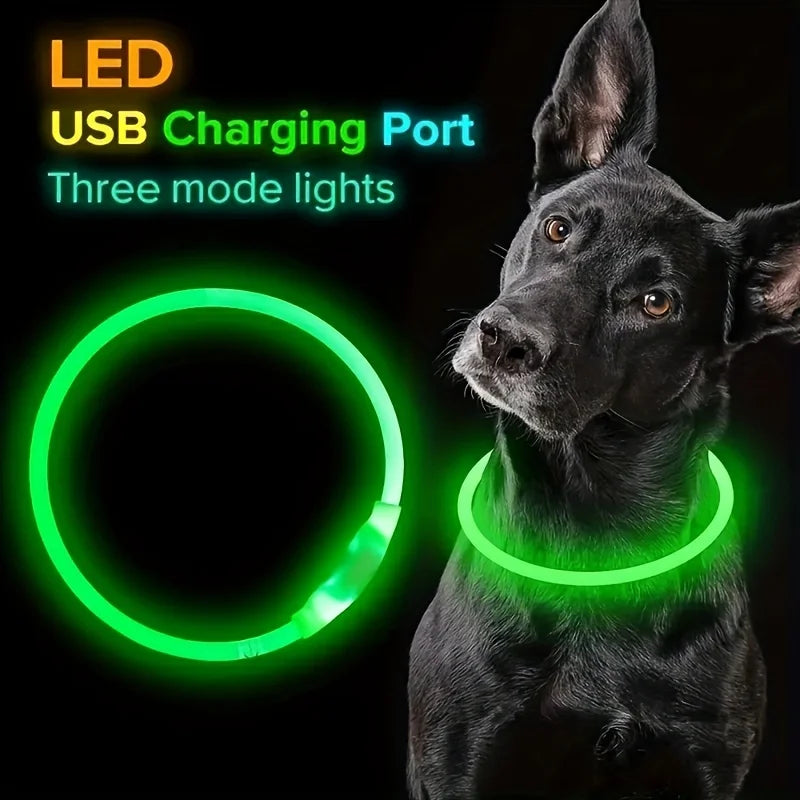 Collar LED Luminoso para Perros Recargable USB | Anti-Pérdida Nocturno