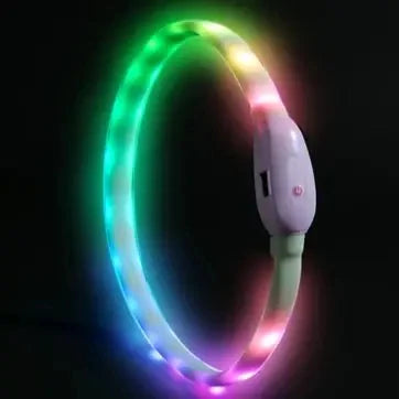 Collar LED Brillante para Perros Recargable USB | 9 Modos de Destello Silicona Ajustable