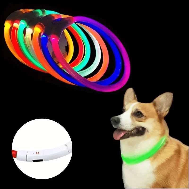 Collar LED Luminoso para Perros Recargable USB | Anti-Pérdida Nocturno